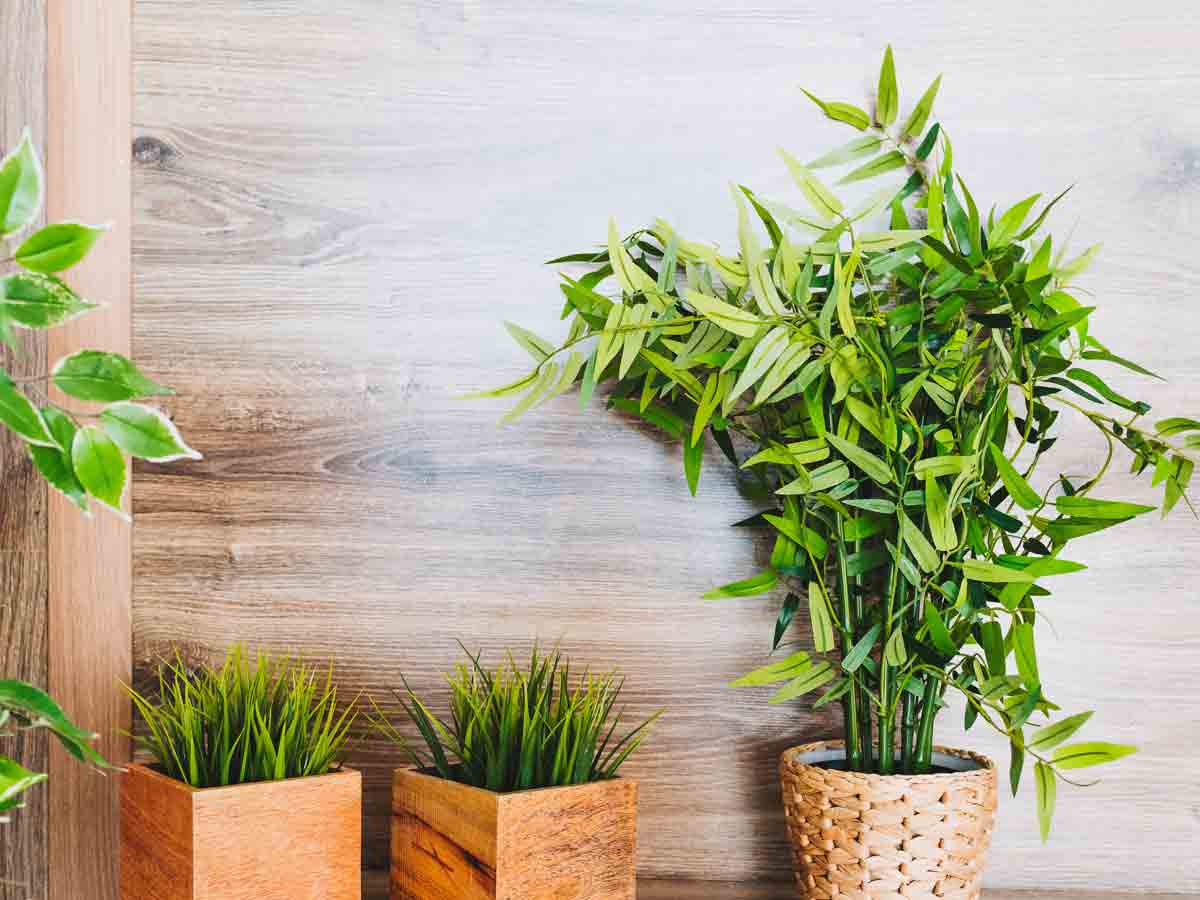 Fake Plants