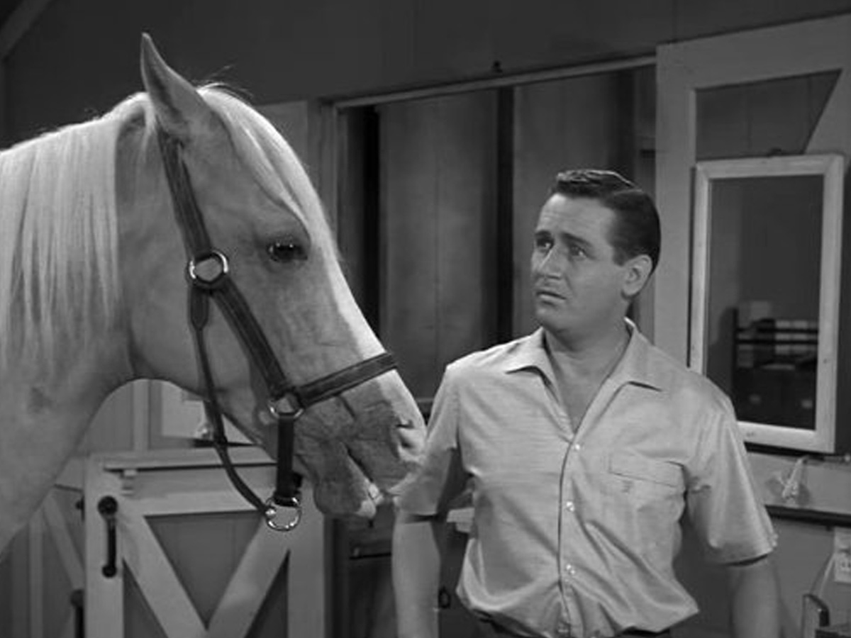 Mister Ed