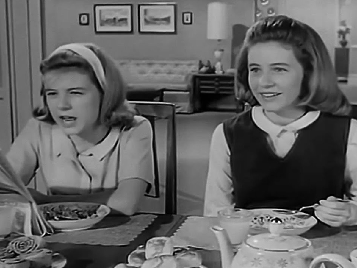 The Patty Duke Show