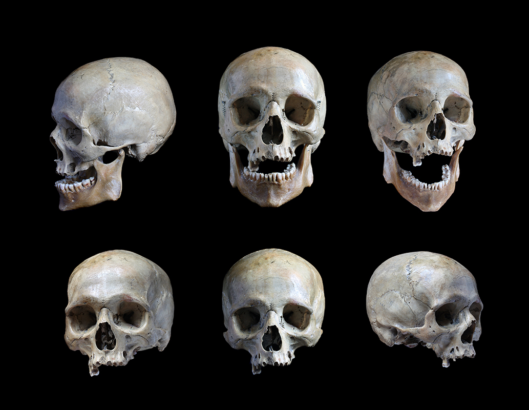 On average, Viking men and women looked more alike than we do.