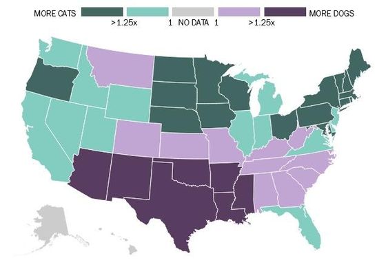 States That Prefer Cats vs. Dogs
