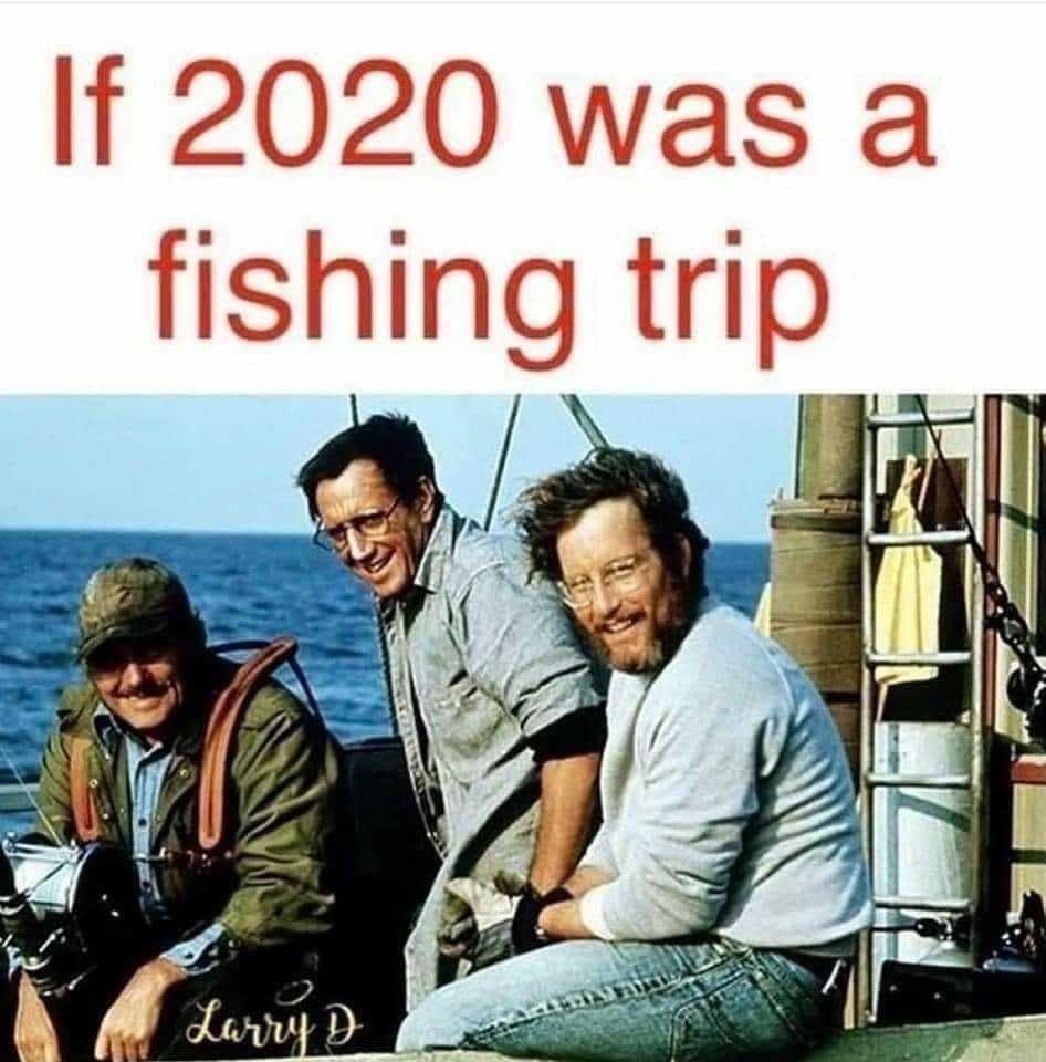 Shark Bait