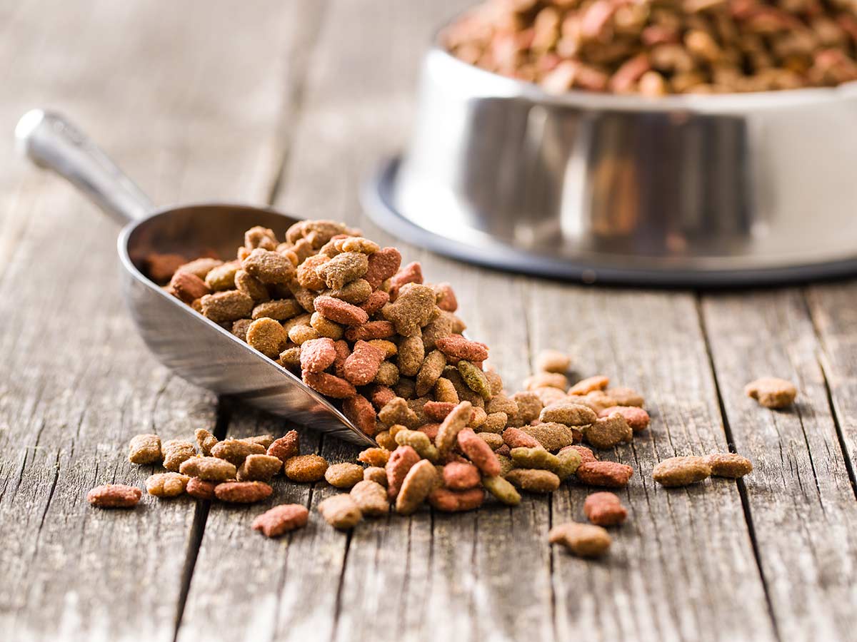 Pet Food