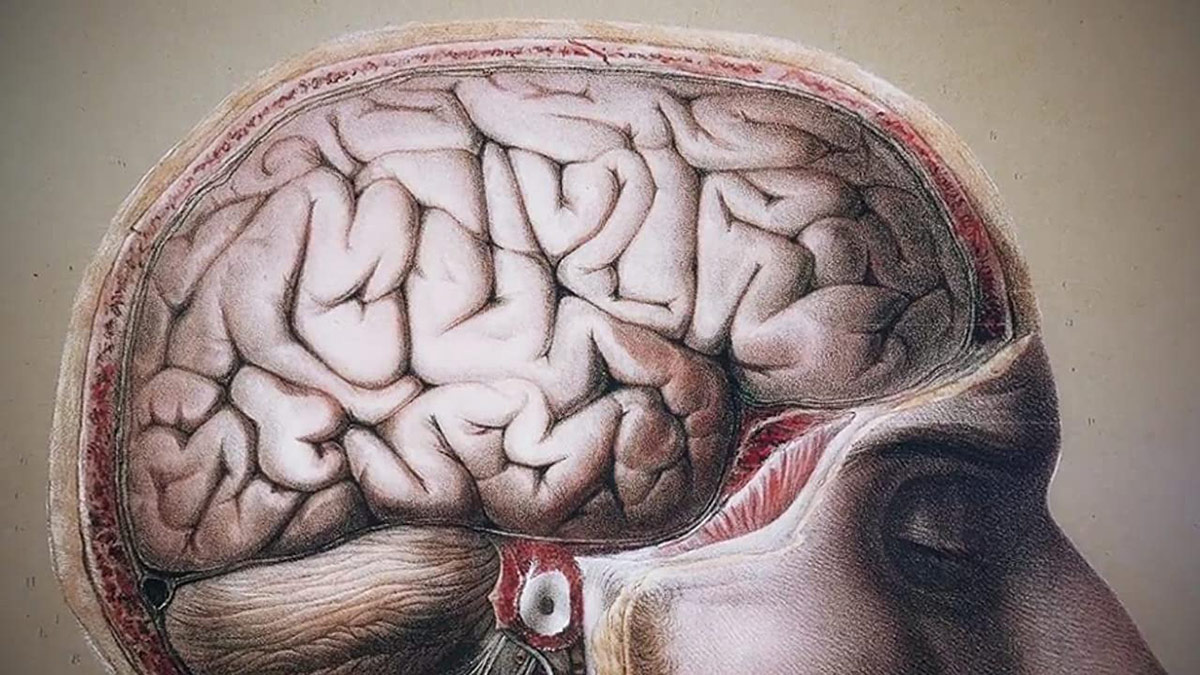 The Government (Probably) Isn't Using Mind Control On Us