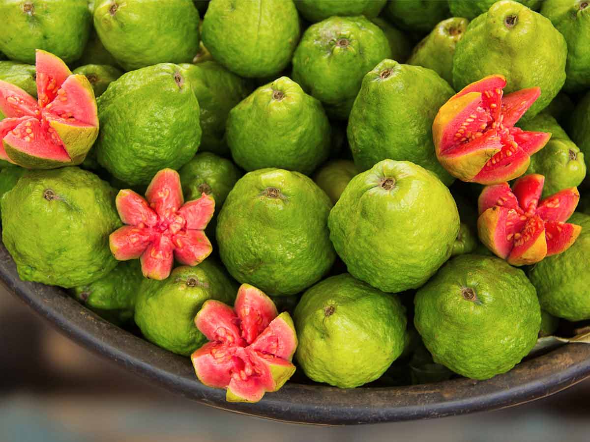 Guava