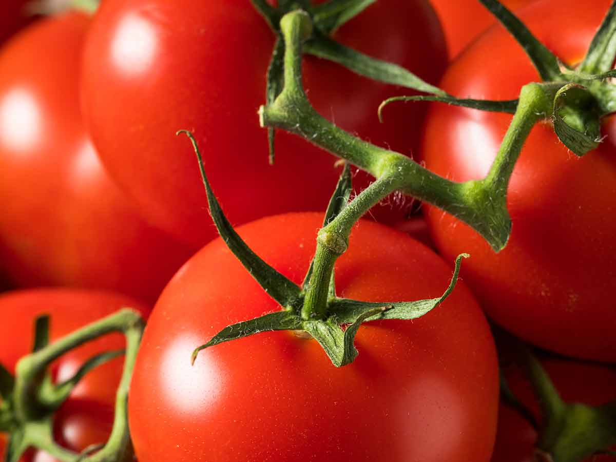 Tomatoes