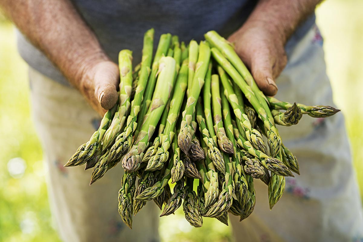 Asparagus