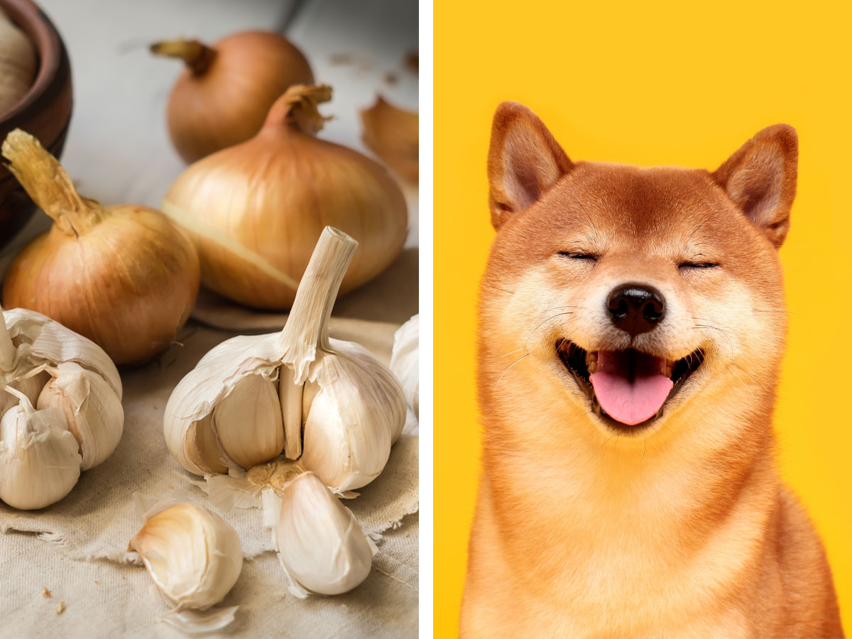 Garlic and Onions