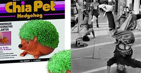 chia pet