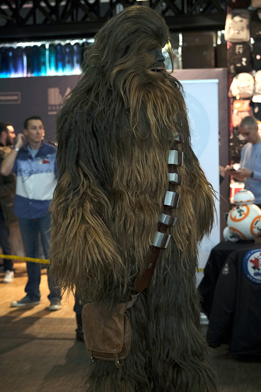 Chewbacca, Star Wars