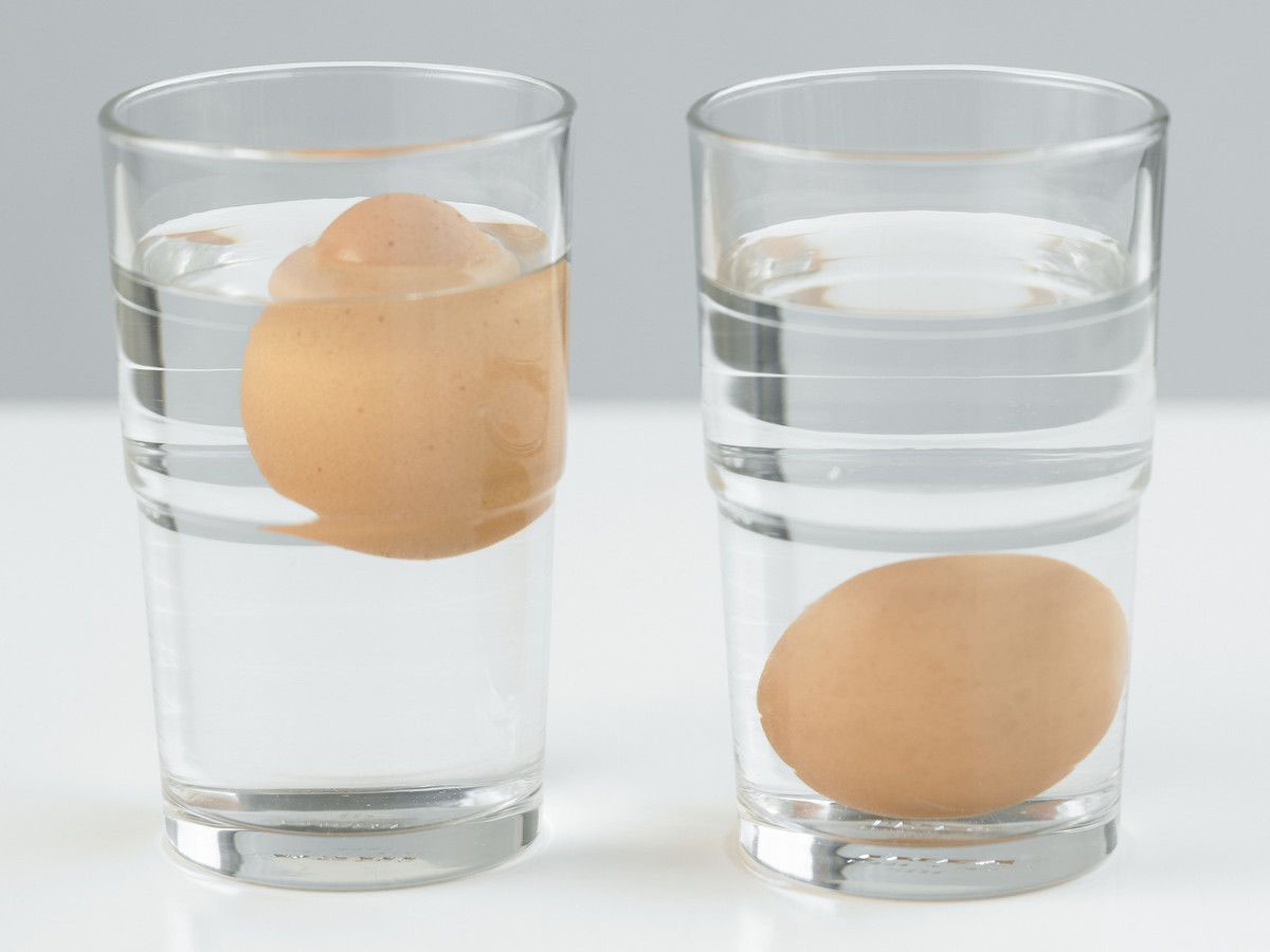 Check Your Eggs