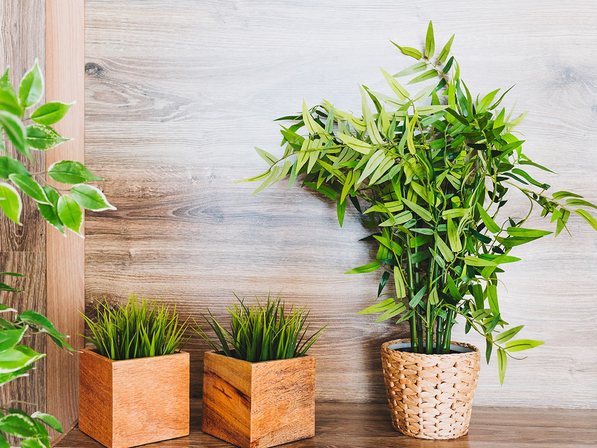 Fake Plants