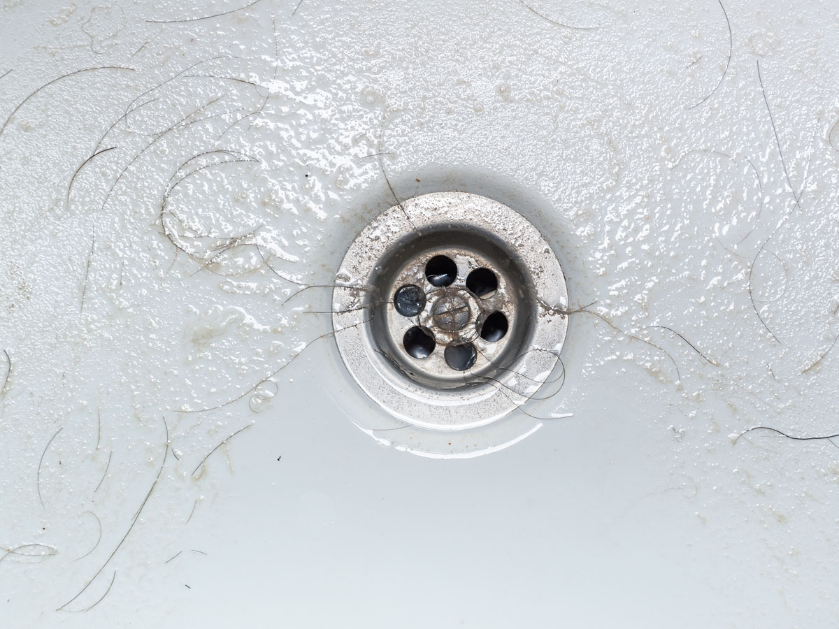 Hair in the Shower Drain