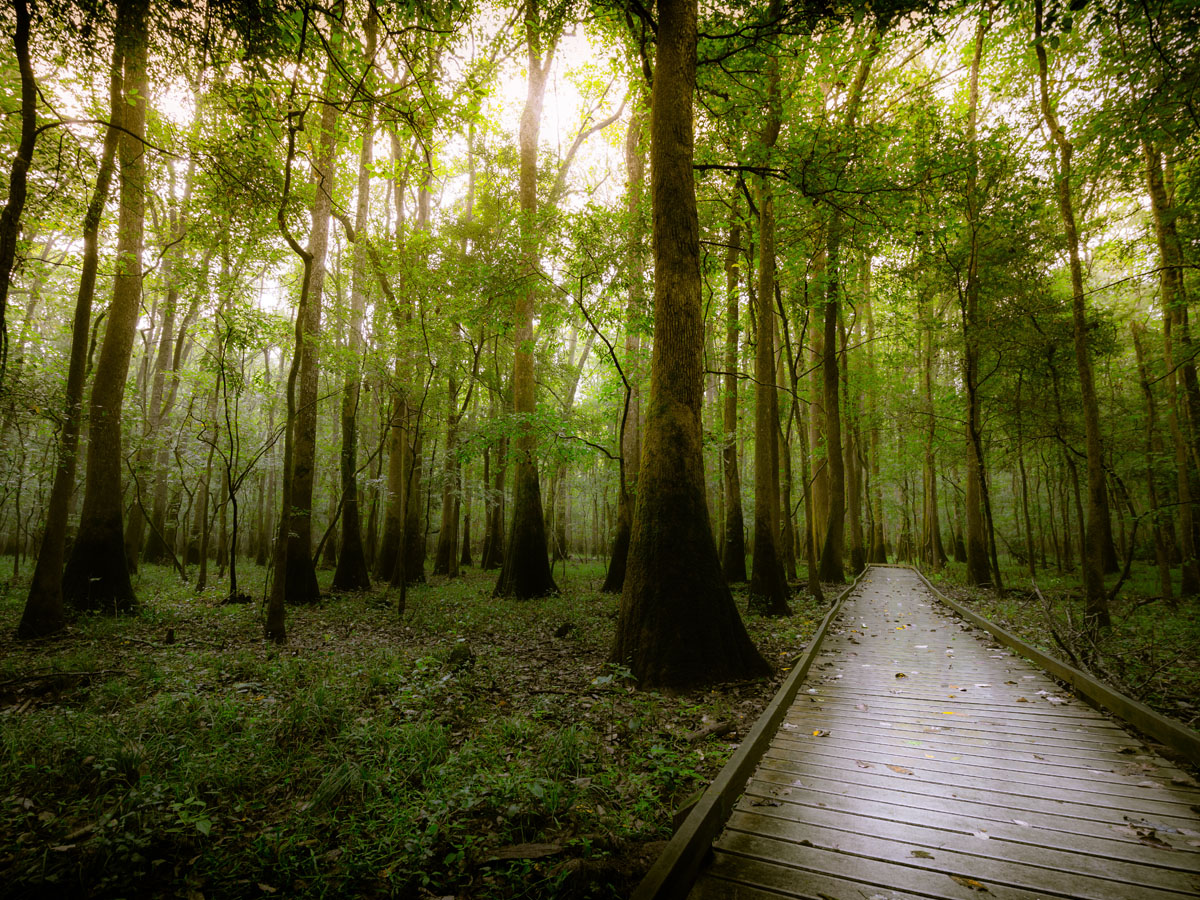 South Carolina - Congaree National Park