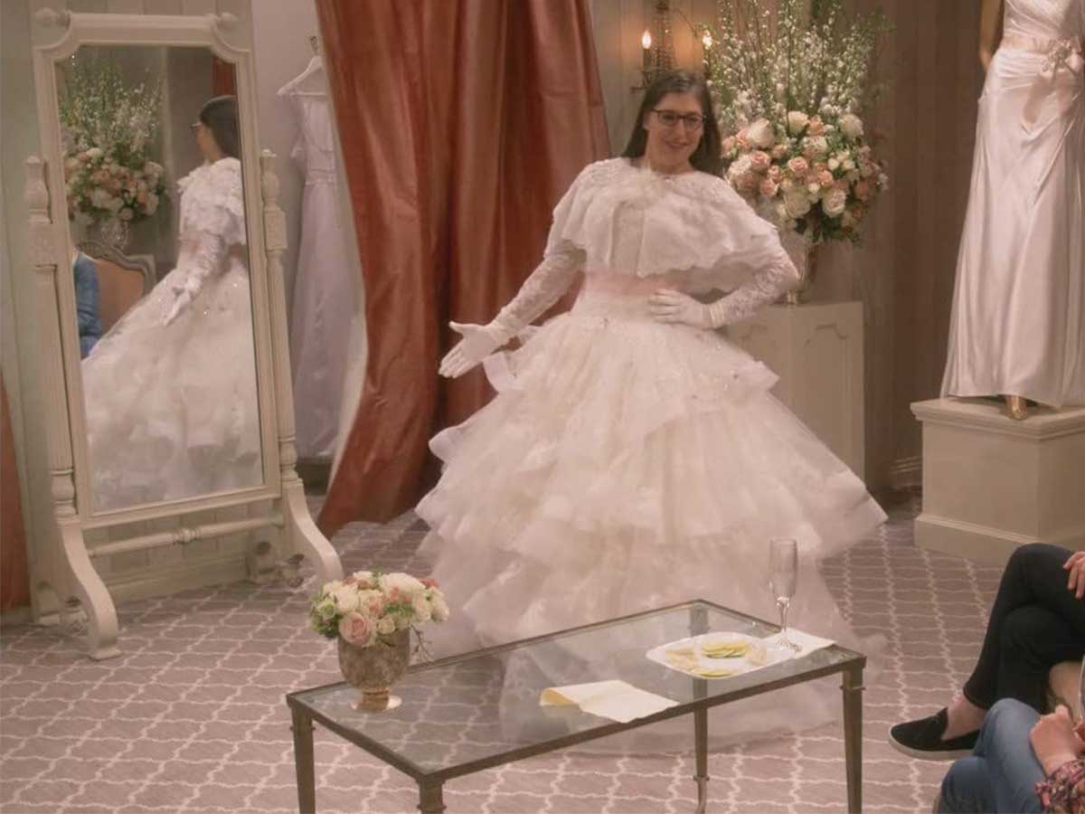 The Big Bang Theory - Amy Farrah Fowler