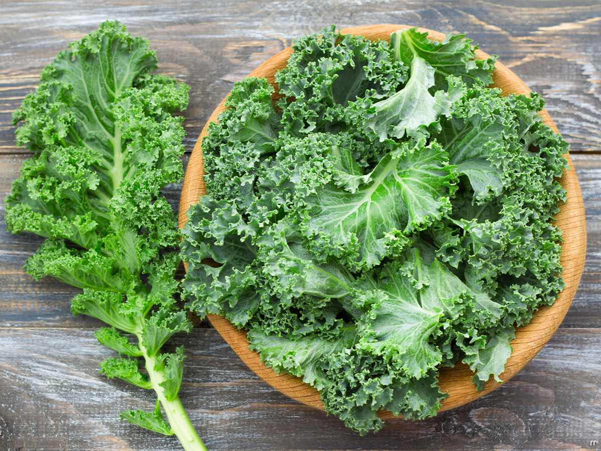 2010's - Kale