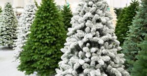 christmas trees