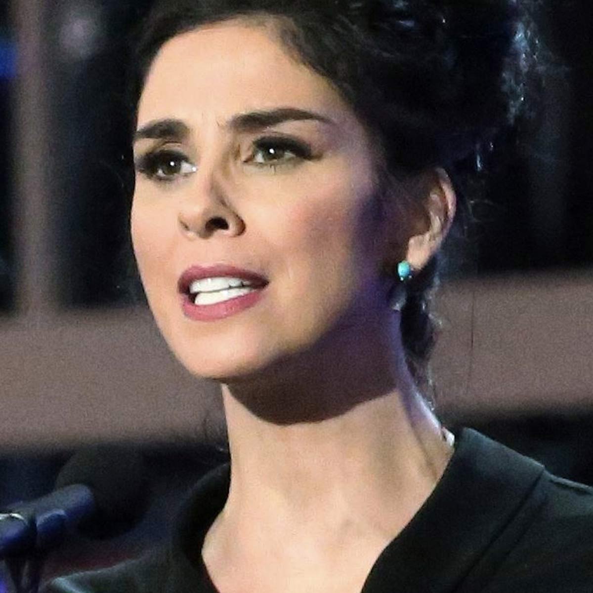 Sarah Silverman