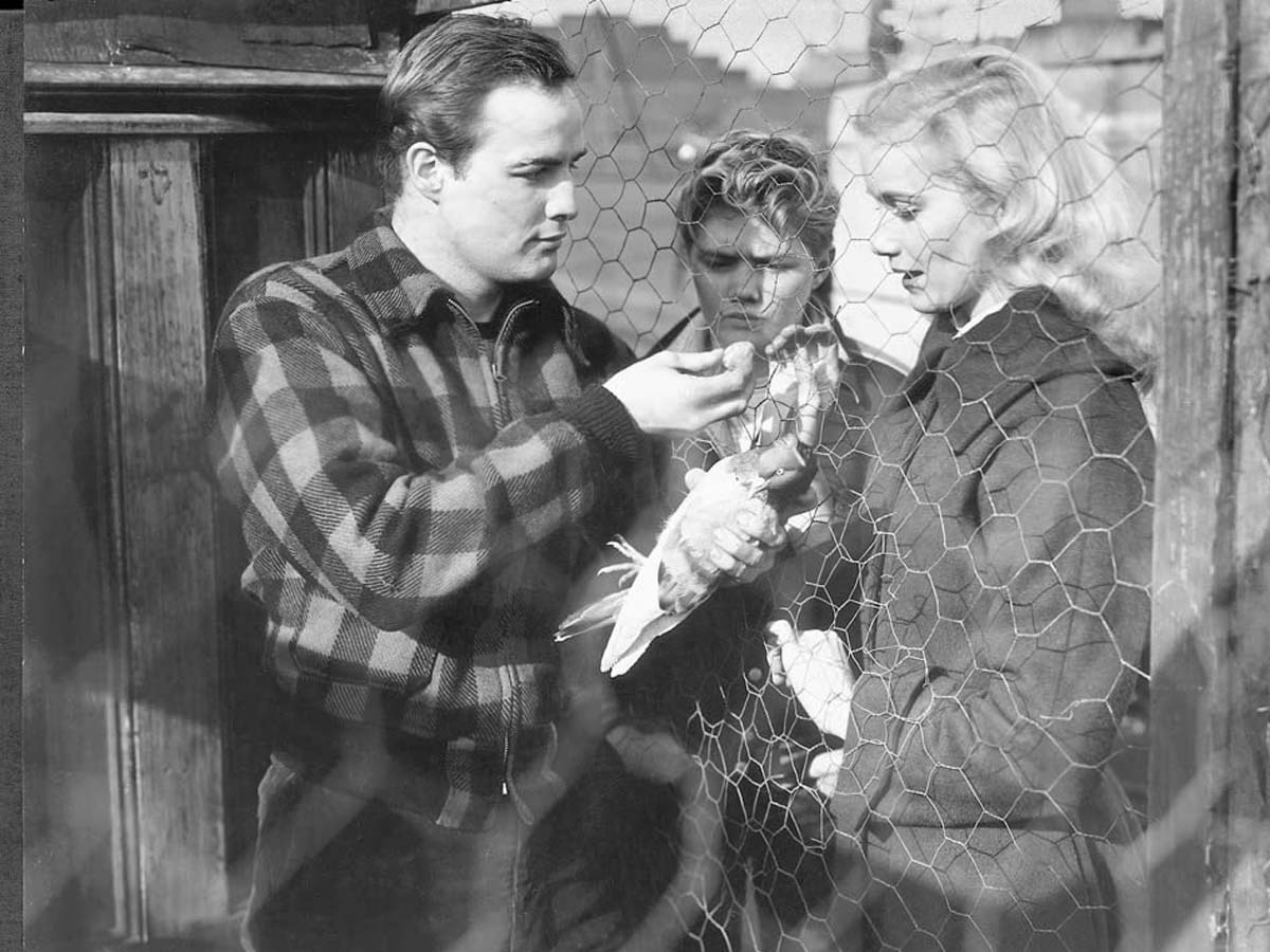 On the Waterfront