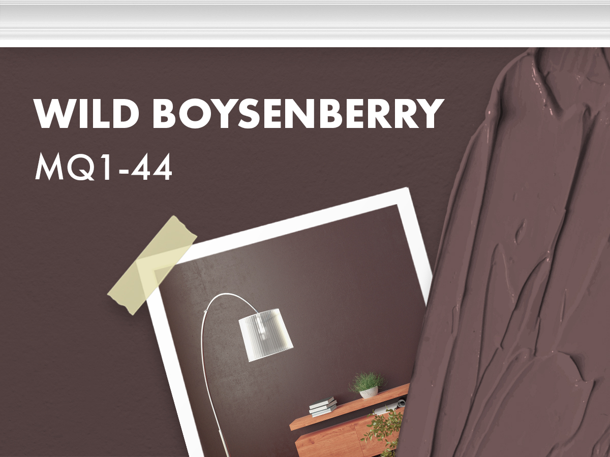 Behr - Wild Boysenberry