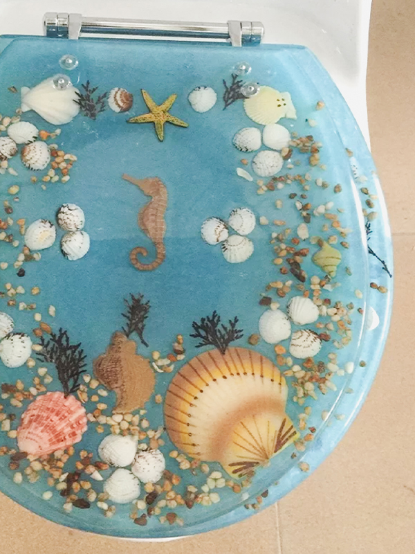 Acrylic Toilet Seats