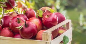 common myths and misconceptions