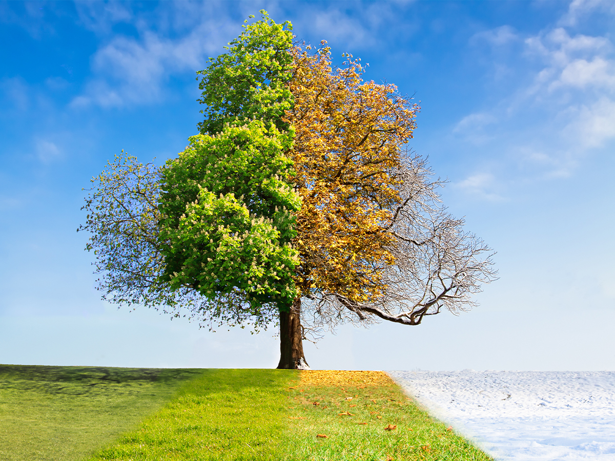 Seasons are caused by the tilt of the earth, not its distance from the sun.