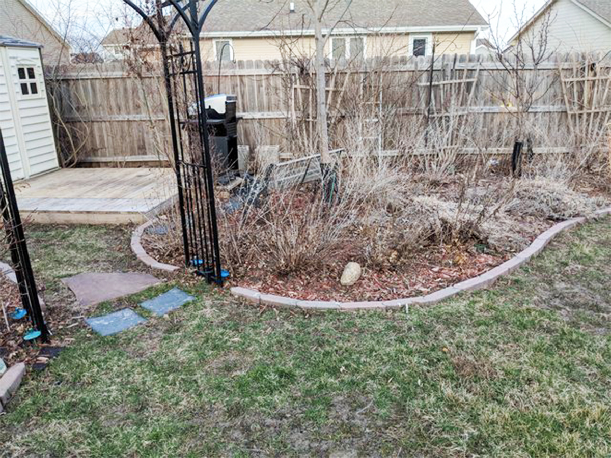 Dead Landscaping