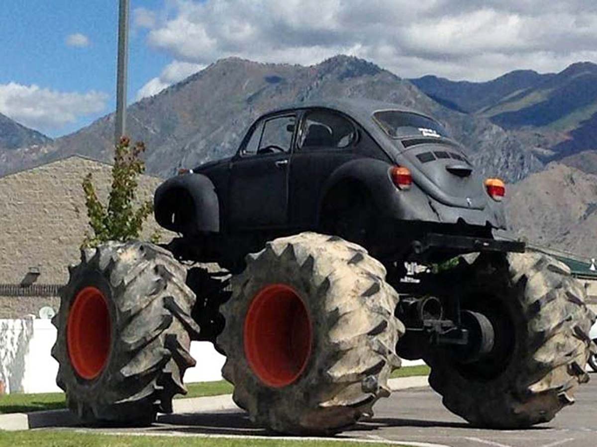 Dung Beetle