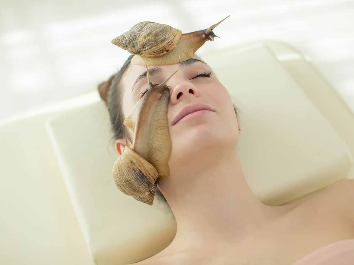 Snail Skincare