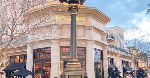 worst college towns cheesecake factory
