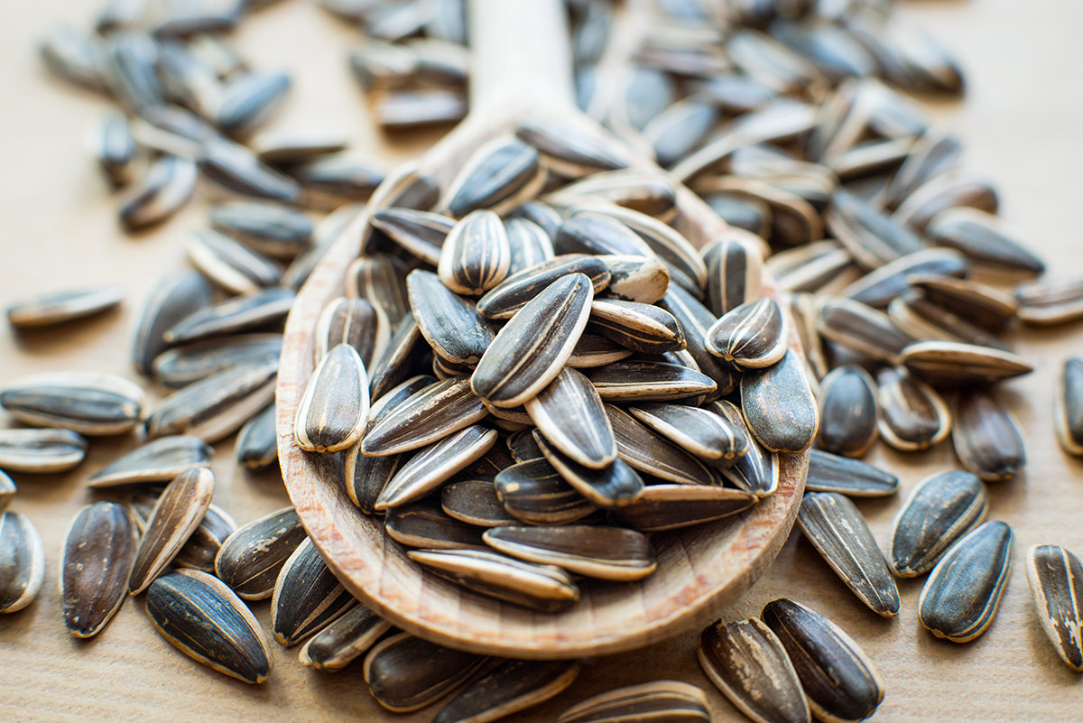 Seeds