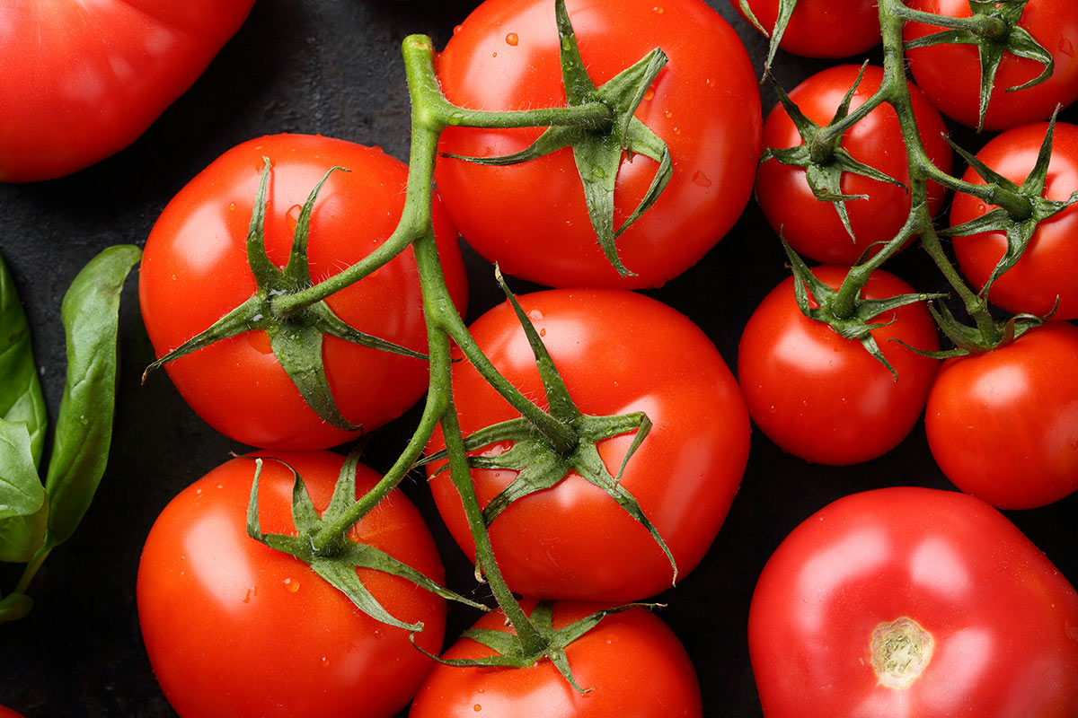 Tomatoes