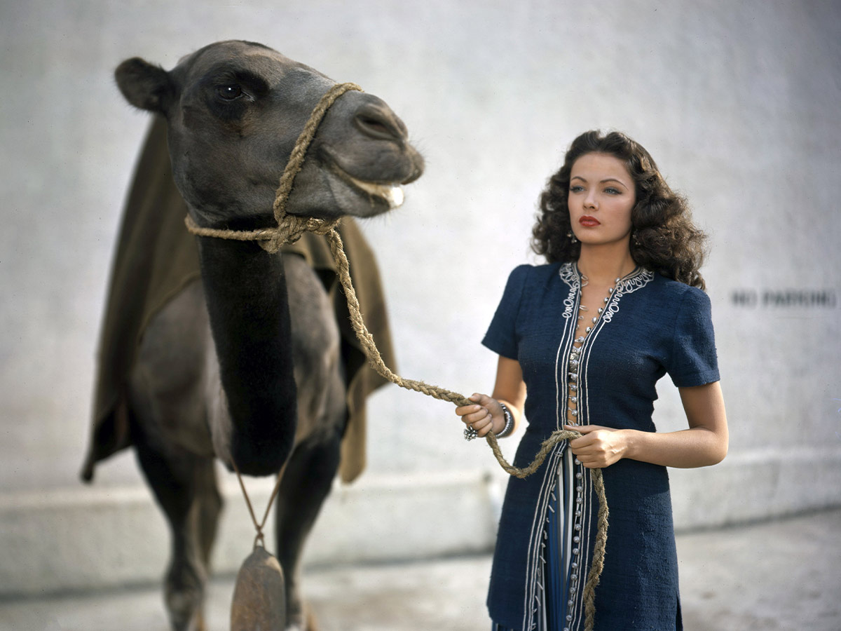 Gene Tierney