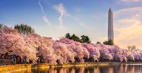best and worst states for women