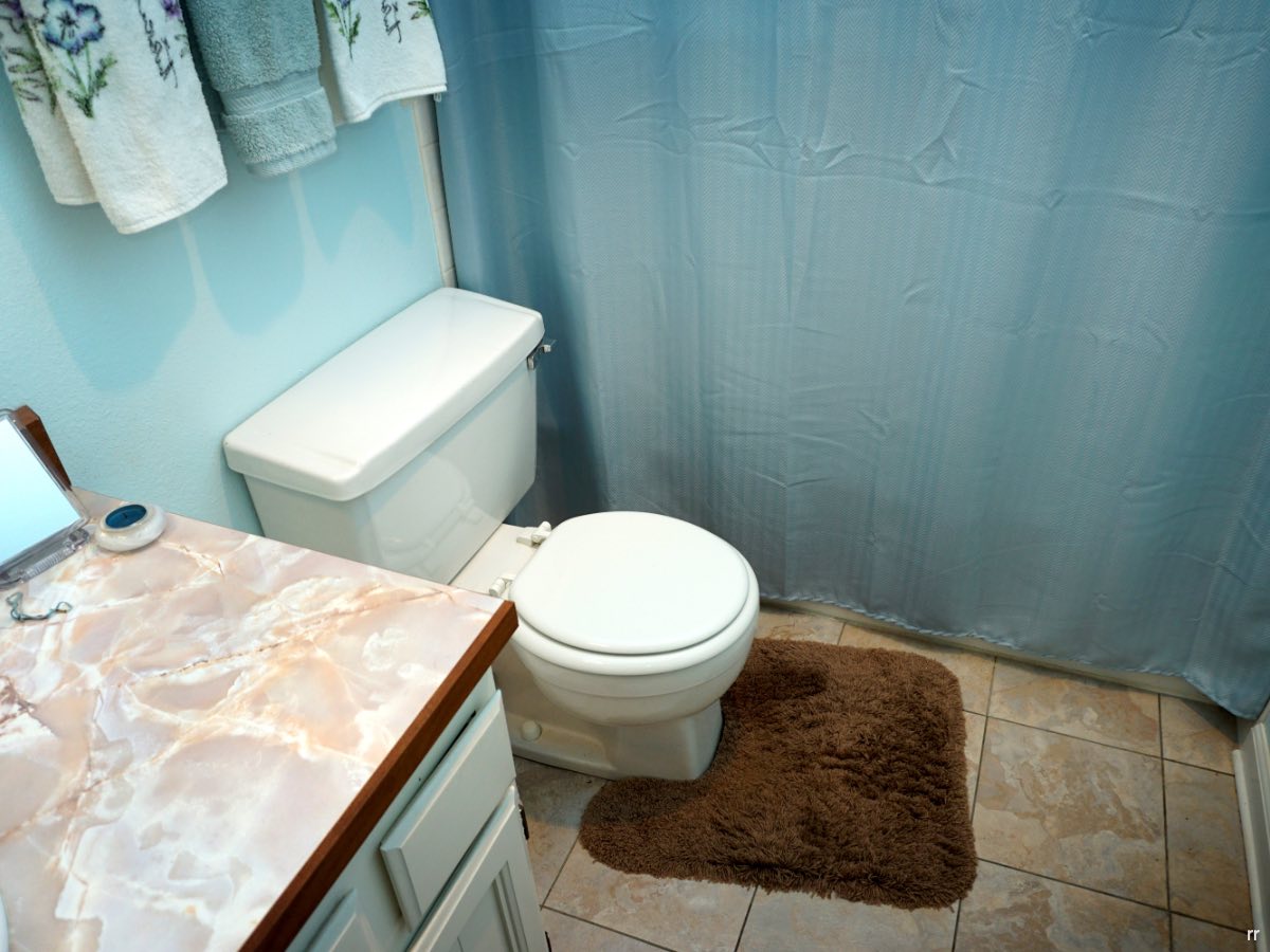 Toilet Rug