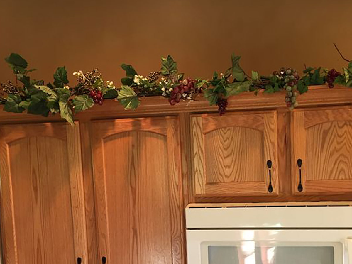 Kitchen Ivy