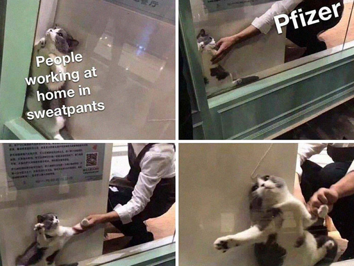 Wait, I'm Not Ready