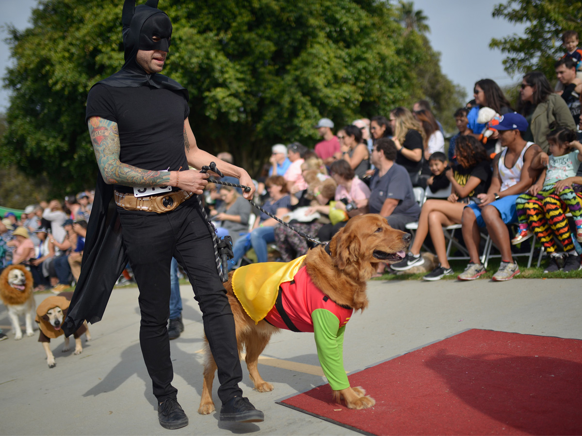 Emo Batman