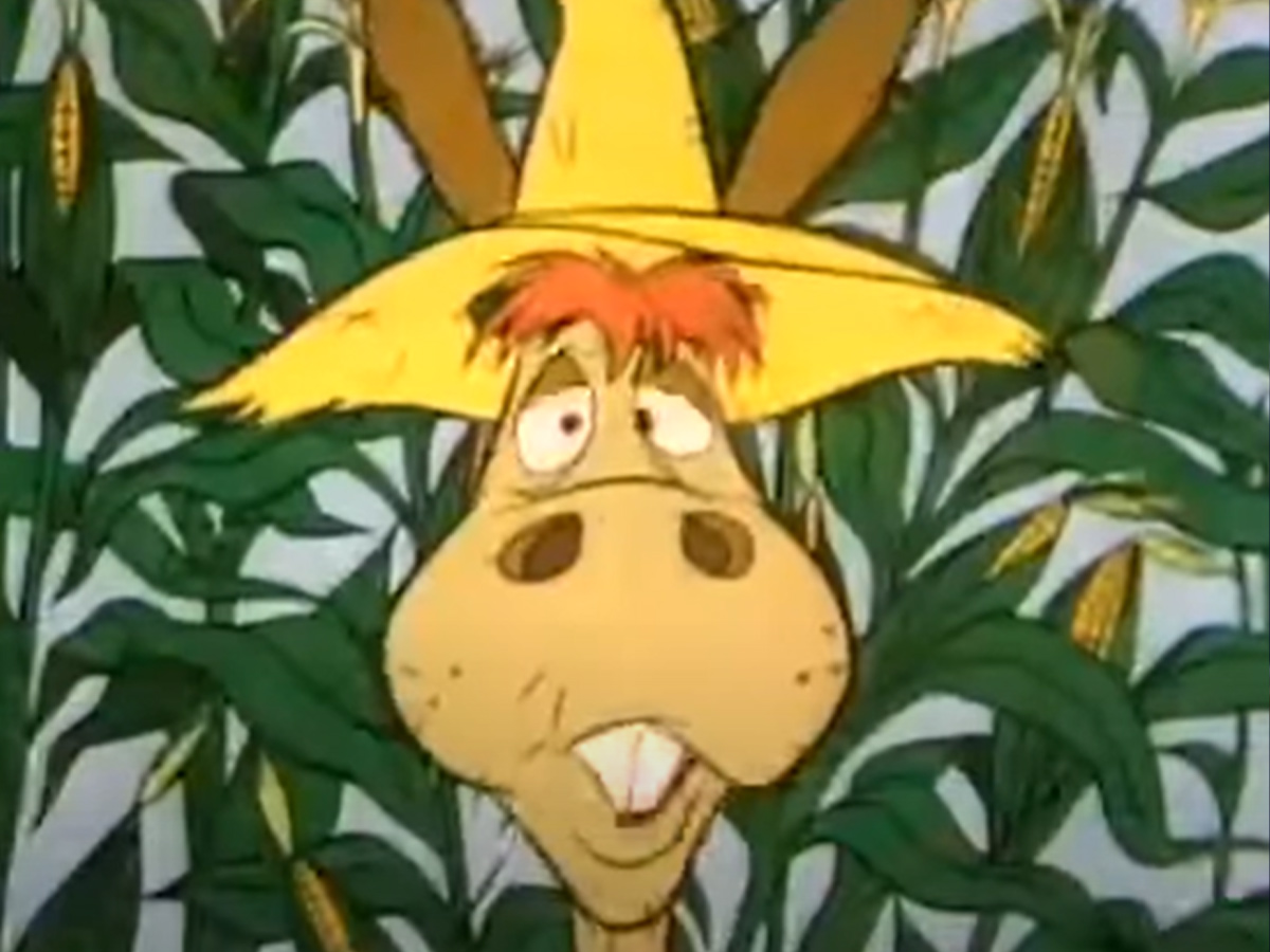 36. Hee Haw Honeys