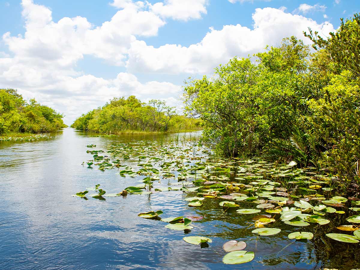 50. Everglades National Park
