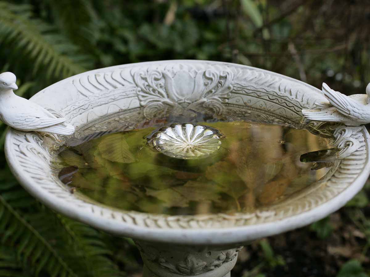 Bird Baths