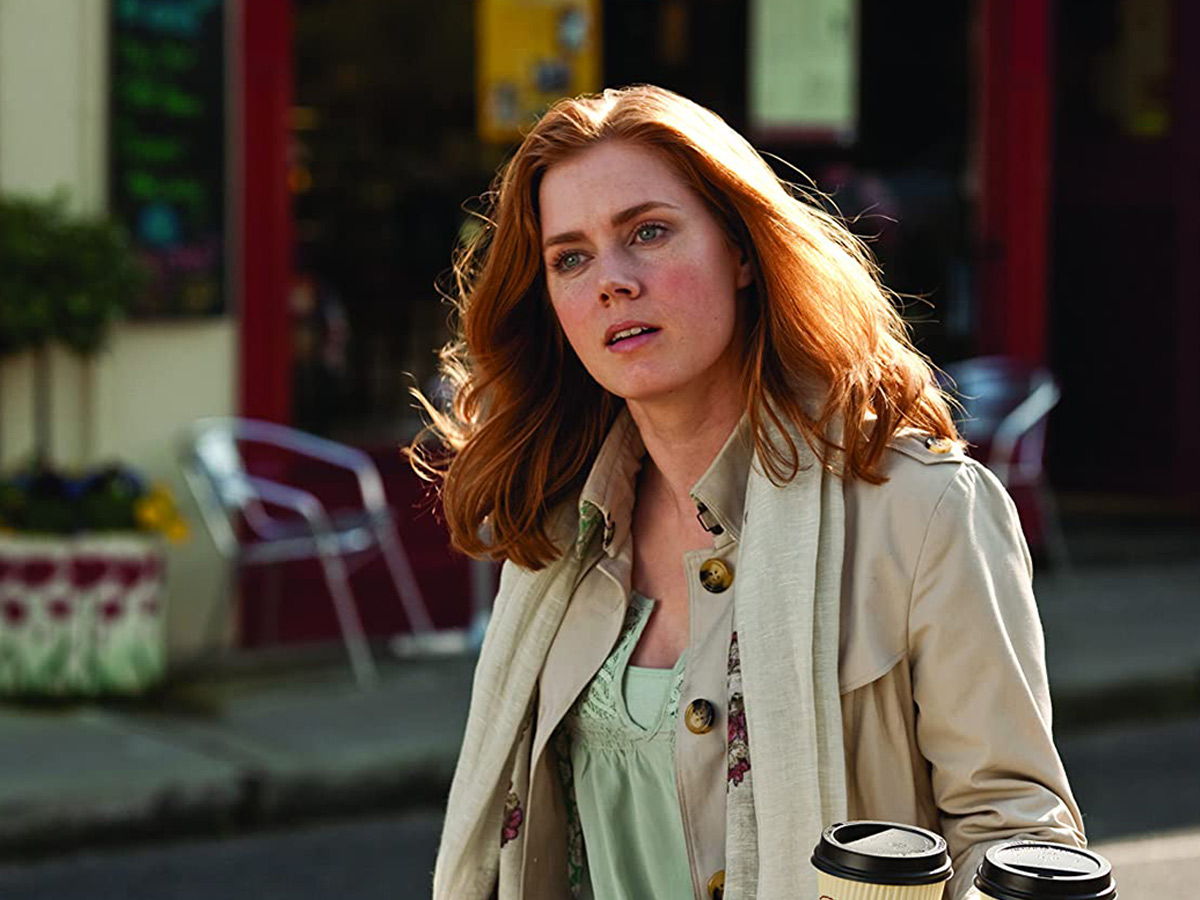 Amy Adams, Leap Year (2010)