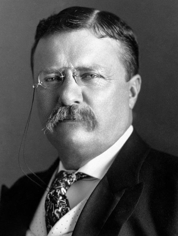 Teddy Roosevelt