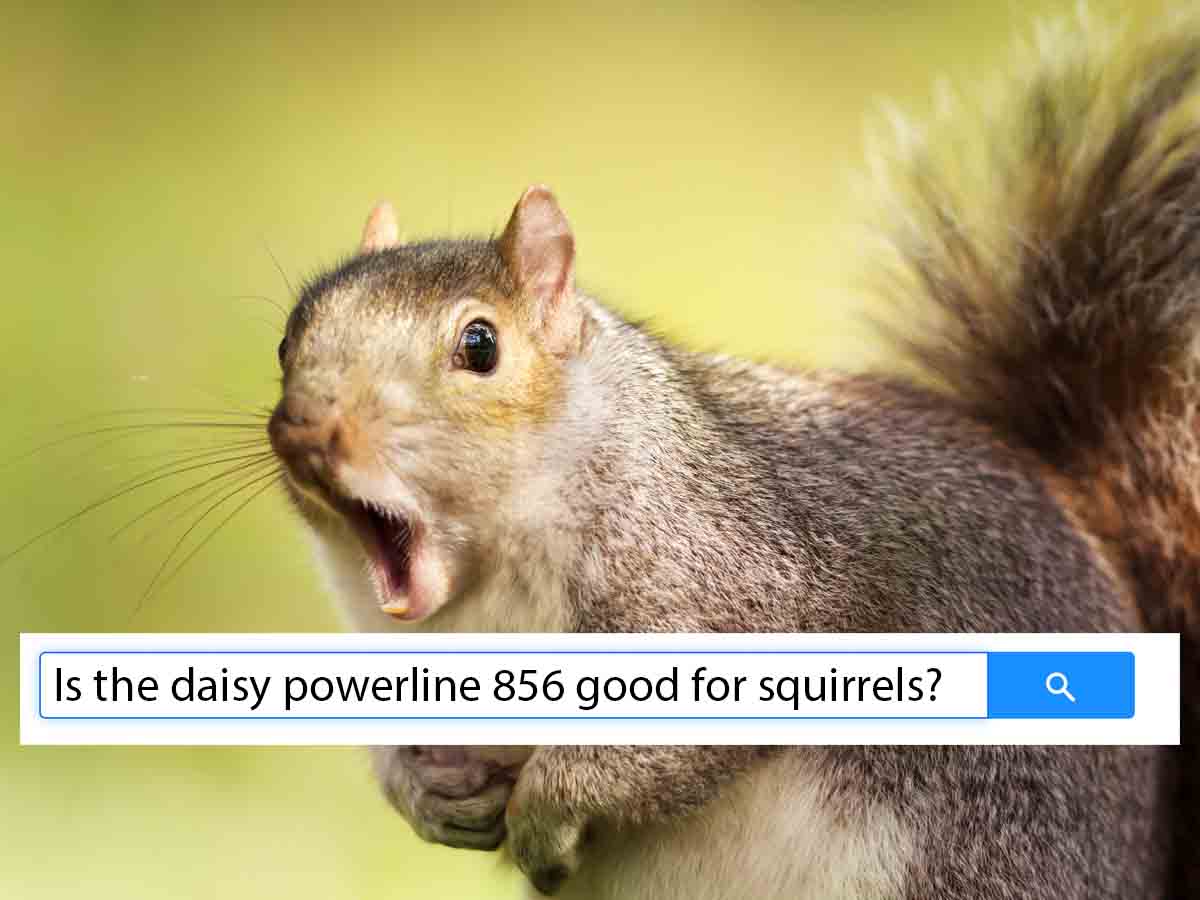 "Is the daisy powerline 856 good for squirrels?"