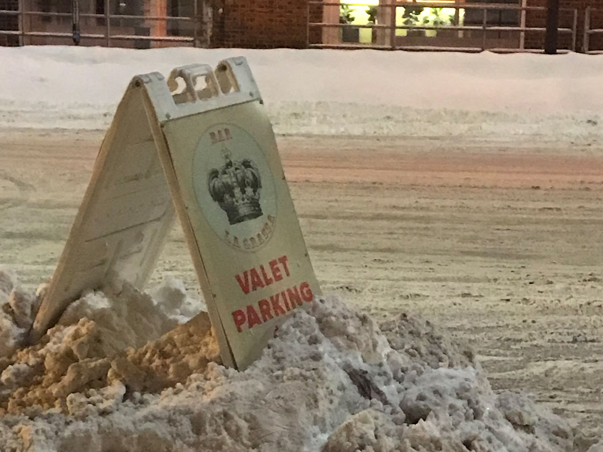 Snowy Valet