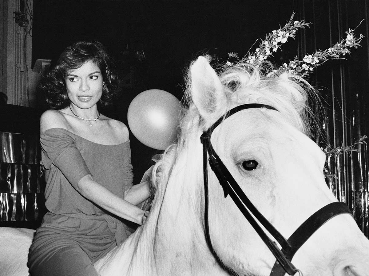 Horsing Around