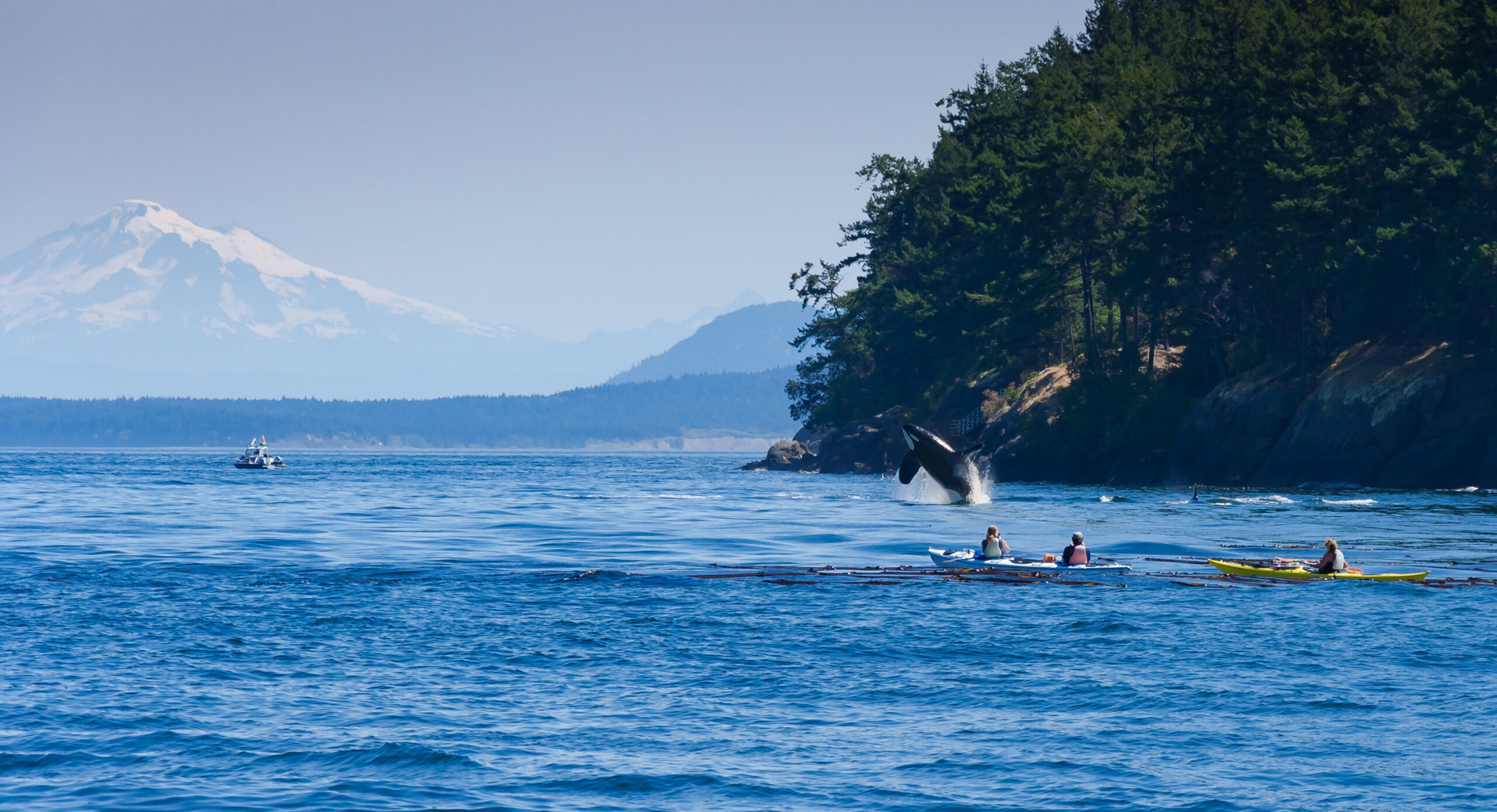 Washington – Orcas Beach Bungalow