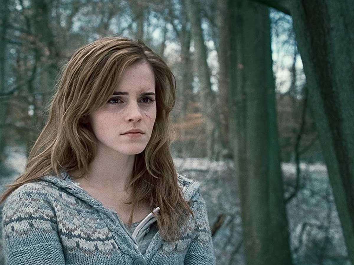 Hermione Granger (The Harry Potter Series)
