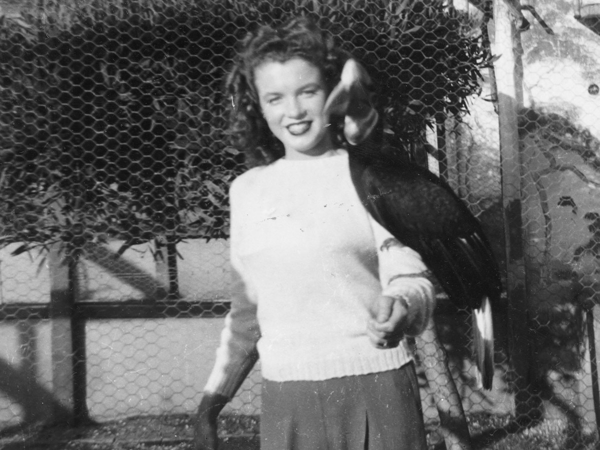 Before She Became Marilyn